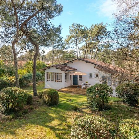 מימיזן-פלאז' Holiday Home Les Bruyeres By Interhome מראה חיצוני תמונה